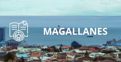 clases de conducir magallanes precio