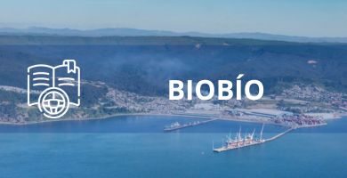 clases de manejo biobio online