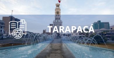 clases de manejo tarapaca online