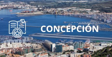 curso de manejo concepcion precio