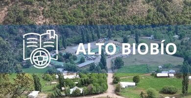 escuela de conduccion Alto Biobío