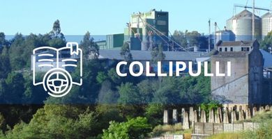 escuela de conduccion Collipulli