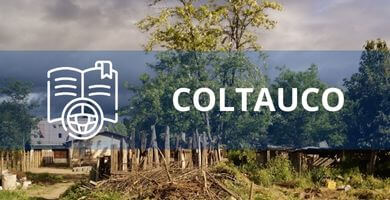 escuela de conduccion Coltauco