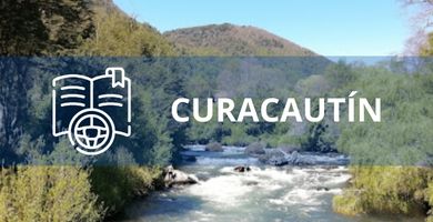 escuela de conduccion Curacautin