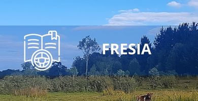 Escuelas de Conductores en Fresia
