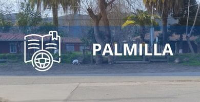 escuela de conduccion Palmilla