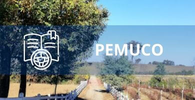 Escuelas de Conductores en Pemuco