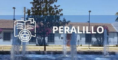 escuela de conduccion Peralillo