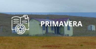 Escuelas de Conductores en Primavera