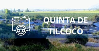 escuela de conduccion Quinta de Tilcoco