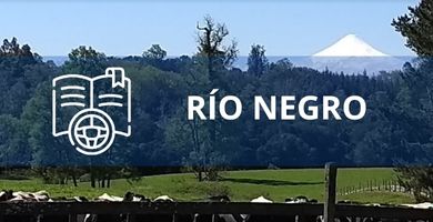 Escuelas de Conductores en Río Negro