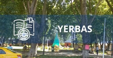 escuela de conduccion Yerbas