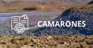 escuela de conduccion camarones