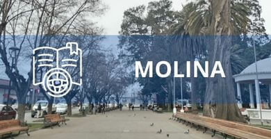 escuela de conduccion molina