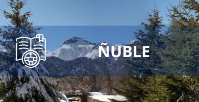 ñuble curso de manejo online